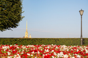 park against the background of the Peter and Paul Fortress in Petersburg,