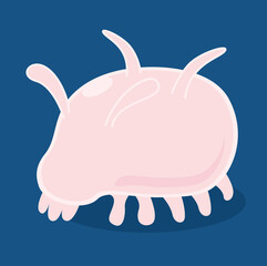 センジュナマコ/深海