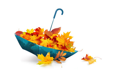 Creative symbolic image of autumn season - maple and rowan leaves in yellow, orange, red, burgundy...