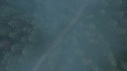 Aerial view of ATV team driving through the forest in the mountains