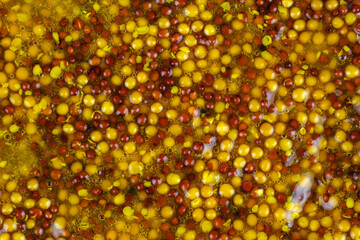 Dijon mustard sauce background