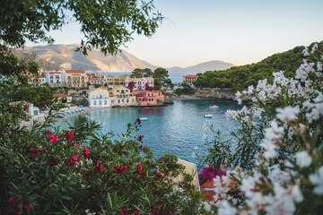 Assos village on Kefalonia Island, Greece. Red and white Oleandre flower blossom in foreground with turquoise bay and colorful traditional houses in background