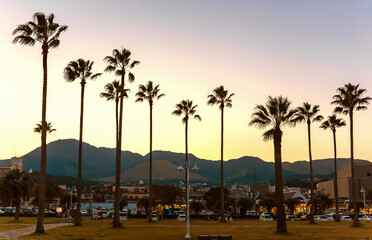 Fototapeta premium The silhouette of tall palm trees against the background of mountains and the sunset sky