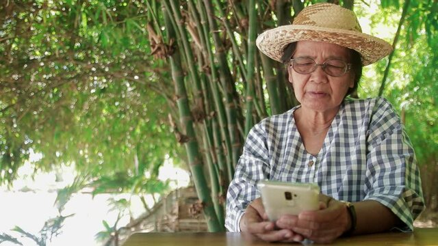 Asian elderly woman wearing a hat and eyeglasses looking at a smartphone Online video call with grandchildren She enjoyed life in her retirement age. The backdrop is a green bamboo garden.