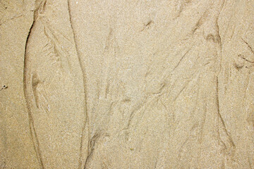 Sand texture background on the beach