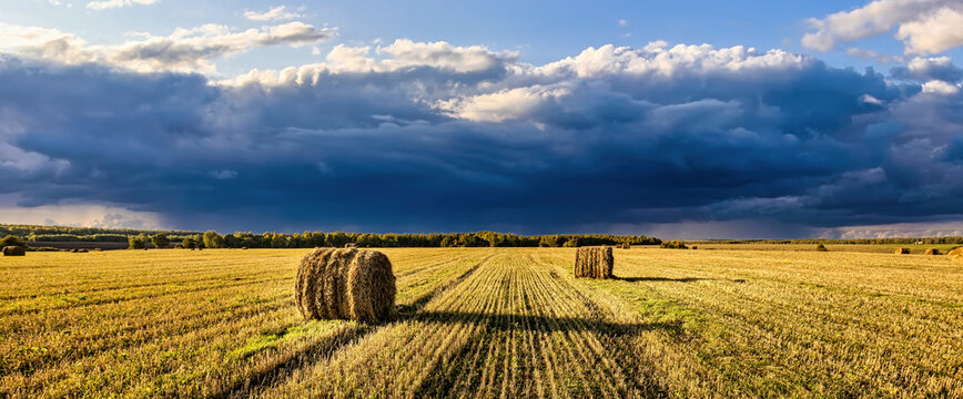 A field of a haystacks on an autumn day, illuminated by sunlight, with rain clouds in the sky.