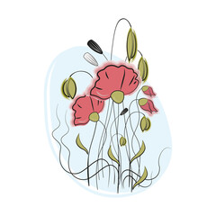 illustration postcard with poppies 