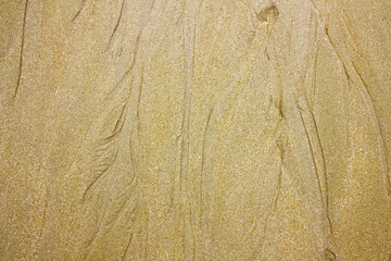Sand texture background on the beach