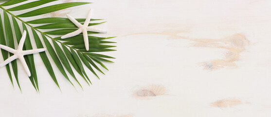 nautical concept with palm leaf and starfish over white wooden background