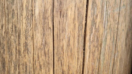 wood texture background