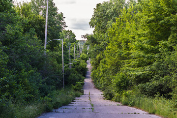 Nature and a forest of trees reclaiming an old, cracked, unmaintained hilly road that is lined with streetlights.  - obrazy, fototapety, plakaty