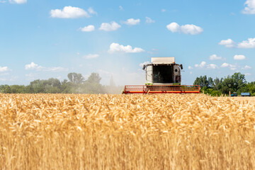 Scenic front view Big modern industrial combine harvester machine reaping gather golden ripe wheat...