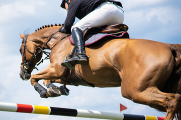 Equestrian Sports photo-themed: Horse jumping over the obstacle.