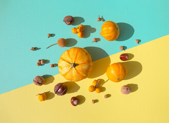 Autumn creative composition made of pumpkin, nuts and acorns on colorful background.