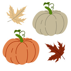 Pumpkin Flat Design. Vegetable and autumn maple leaf