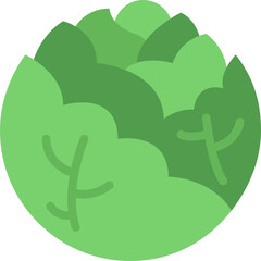 cabbage flat icon