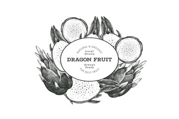 Hand drawn dragon fruit design template. Organic fresh food vector illustration. Retro pitaya fruit banner.