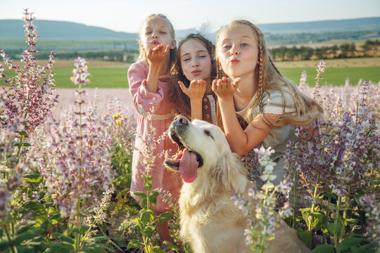 Group of children with a dog in nature. Girls play in the open air. High quality photo