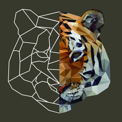 Polygonal tiger head. Tiger. Low poly animal. Geometric tiger. Linear tiger. Half linear half polygonal animal.