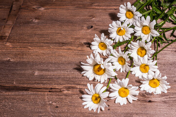Obraz premium Chamomiles on a wooden background