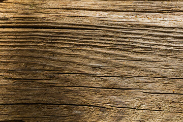 Old wood texture with dust. Closup image with warm tones.