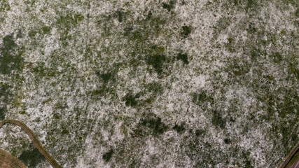 Aerial top view of a green field with camomiles. Large white patches of daisies. 