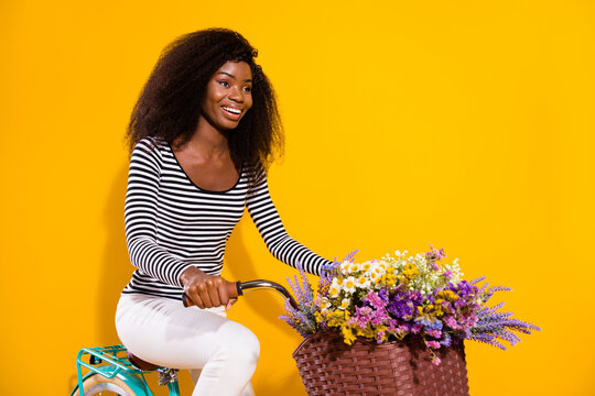 Photo portrait of curly woman riding a bike with flower pot smiling looking copyspace isolated vivid yellow color background