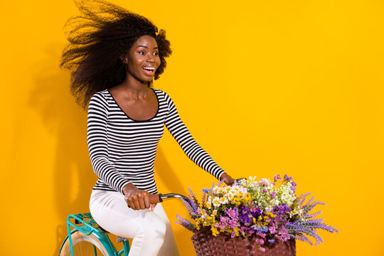 Photo portrait of curly woman riding a bike with flower pot smiling enjoying fresh wind isolated bright yellow color background