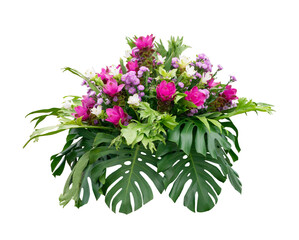 Flower bush plant isolated with clipping path on white background