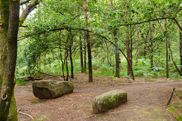 Brocéliande