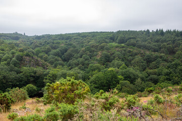 Brocéliande