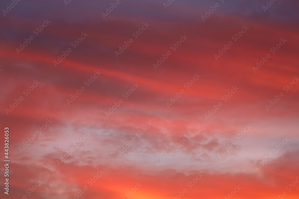 Poster clouds of orange. background for designer