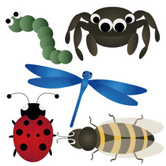 Insects-spider, bee, ladybug, dragonfly, caterpillar