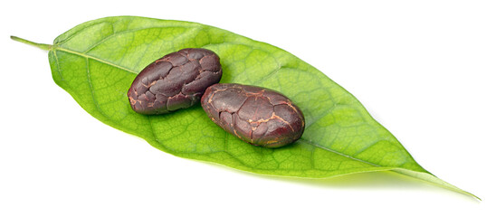dried cocoa beans on the fresh cocoa leaf, isolated on white background, top view