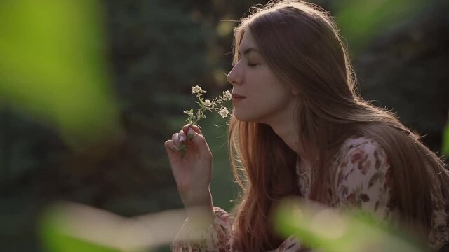 A beautiful girl in the forest against the sunset picks a white flower and sniffs it. Antihistamines during spring flowering. Life without allergy.