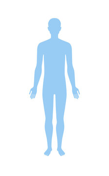 Standing human body silhouette front view. Vector illustration isolated on white.