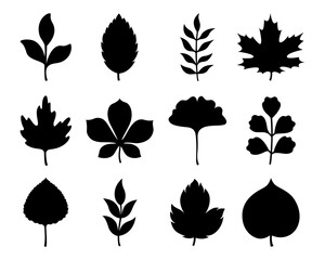 Set of autumn leaves silhouettes. Vector autumn or spring illustrations. Isolated on white background. Flat style. Simple plant outlines for paper or laser cutting and printing on any surface.