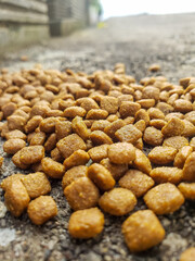 peanuts on the ground