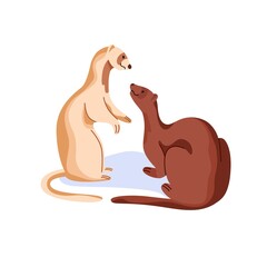 Couple of cute funny ferrets interacting. Communication between adorable animals. Weasels friends communicating. Interaction of minks. Flat cartoon vector illustration isolated on white background.