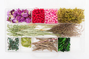 Dried flowers of different shades on a white background