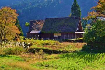 世界遺産　五箇山合掌造り集落　秋景
