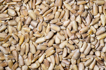 Detail of some sunflower seeds