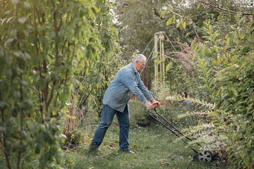 Senior mows the grass in the yard with a lawn mower