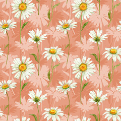 Seamless pattern with white meadow flowers chamomile on a pink background, illustration of watercolor.