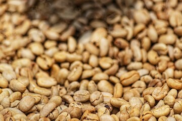 beans background