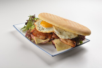 assorted sandwiches club with focaccia bread, grilled teriyaki chicken , cheese and fried egg with salad in white background western halal menu