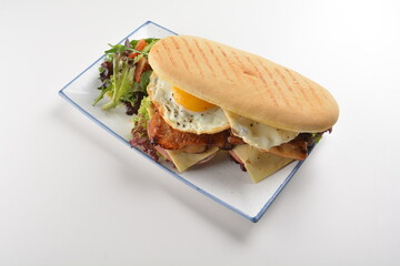 assorted sandwiches club with focaccia bread, grilled teriyaki chicken , cheese and fried egg with salad in white background western halal menu