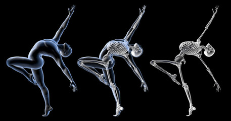 Anatomy of dancing and ballet, 3D illustration