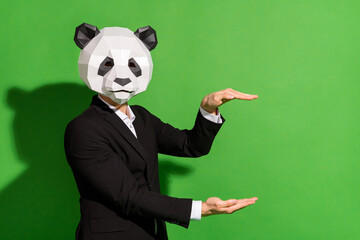 Photo of promoter corporate guy hands hold empty space wear panda head black suit isolated on green...