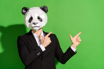 Photo of reliable manager guy indicate forefinger empty space wear panda mask black tux isolated on...